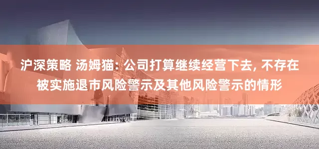 沪深策略 汤姆猫: 公司打算继续经营下去, 不存在被实施退市风险警示及其他风险警示的情形