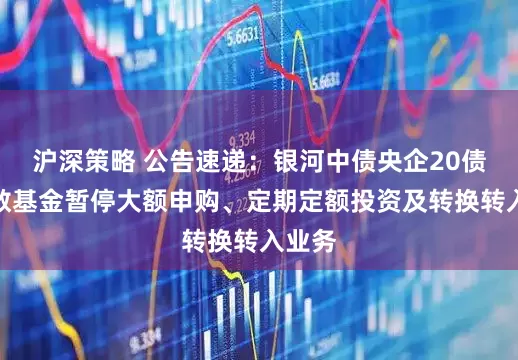 沪深策略 公告速递：银河中债央企20债券指数基金暂停大额申购、定期定额投资及转换转入业务