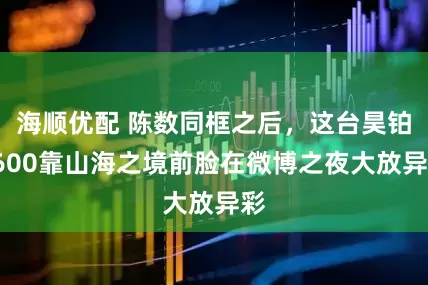 海顺优配 陈数同框之后，这台昊铂S600靠山海之境前脸在微博之夜大放异彩